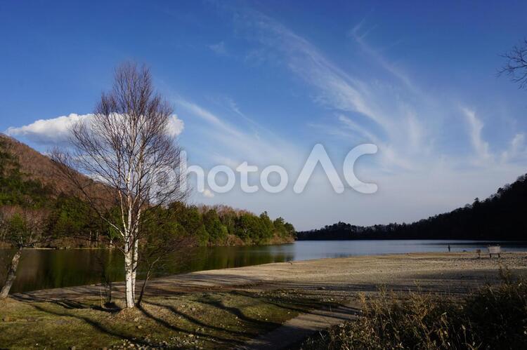 奥日光　湯ノ湖　ほとりの風景 日光,山,奥日光の写真素材