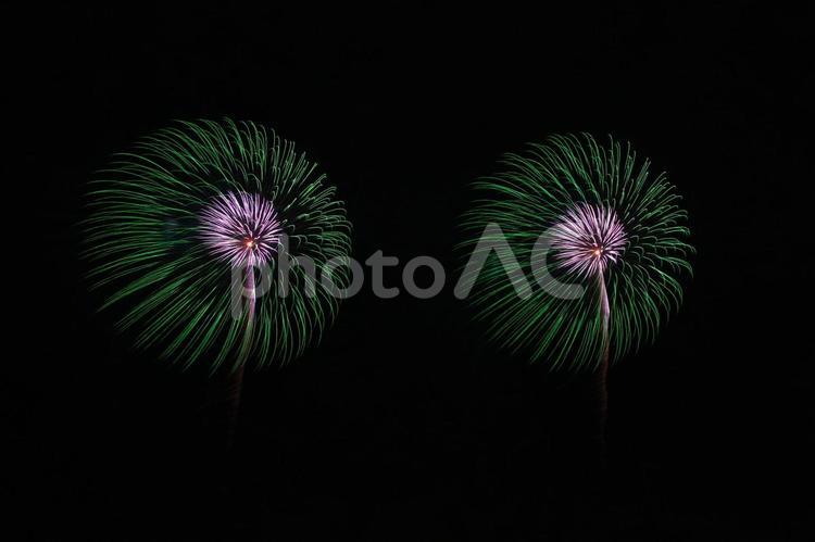 二つの打ち上げ花火 花火,夜景,花火大会の写真素材