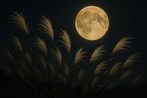 庭先のススキと黄金色の満月 庭先のススキと黄金色の満月の写真