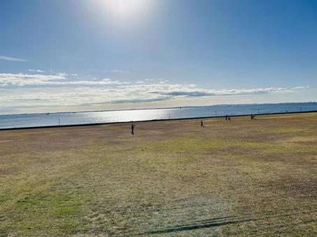 海辺の公園 海辺の公園の写真