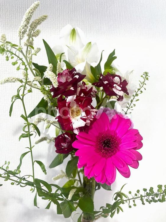 ガーベラの花束（花瓶差し）６２ ガーベラ,ピンク,カーネーションの写真素材