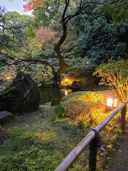 彼我庭園 横浜公園,彼我庭園,秋の写真素材