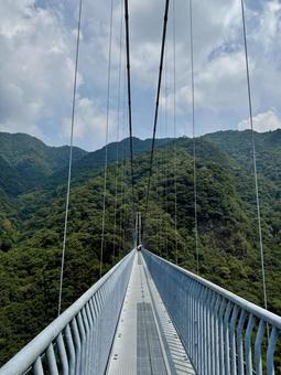照葉大吊橋 照葉大吊橋の写真