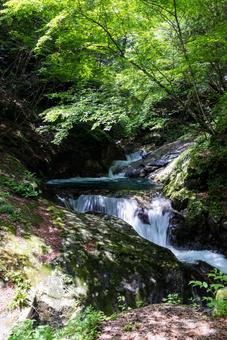 山の風景 山の風景の写真