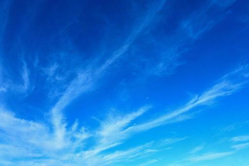 爽やかな 秋の青空 爽やかな 秋の青空の写真