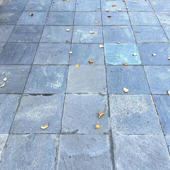 地面_014_K0169 タイル,コンクリート,床の写真素材