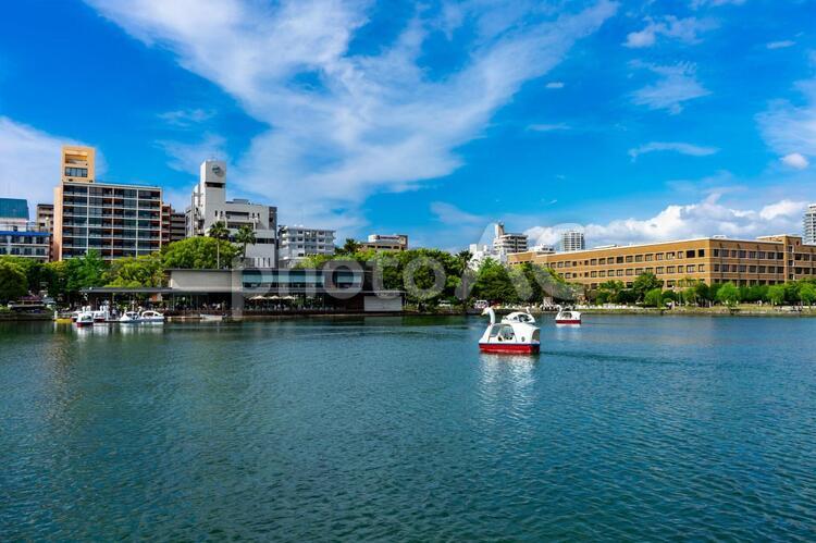 大濠公園の風景 大濠公園,博多,福岡の写真素材