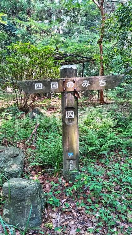 森のなか、四国のみち 道しるべ,四国のみち,森の写真素材
