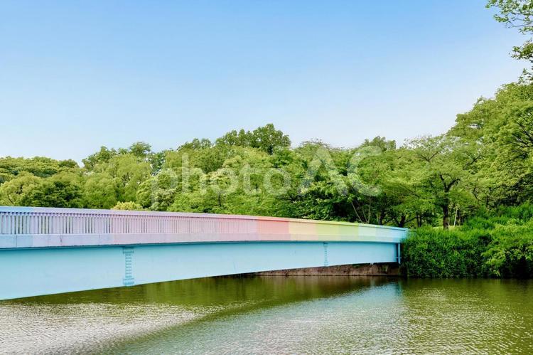 レインボーカラーの橋と新緑の風景 橋,レインボー,カラフルの写真素材