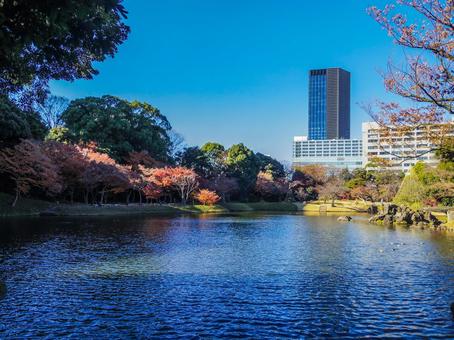 【東京都】文京区・小石川後楽園 小石川後楽園,紅葉,水道橋の写真素材
