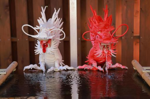 紅白の龍 紅白の龍 紅白,龍,伊豆山神社の写真素材