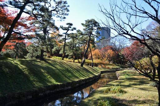 小石川後楽園の風景 小石川後楽園の風景の写真