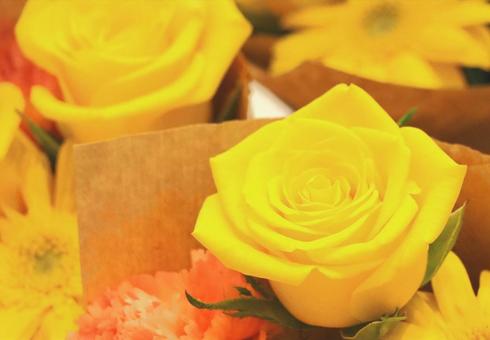 黄色いバラの花アレンジメントギフト贈り物 黄色いバラの花アレンジメントギフト贈り物 薔薇,バラ,ばらの写真素材