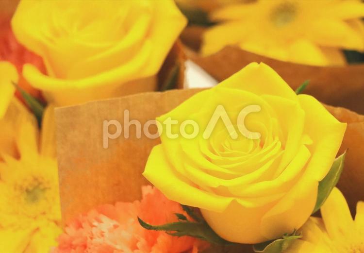 黄色いバラの花アレンジメントギフト贈り物 薔薇,バラ,ばらの写真素材