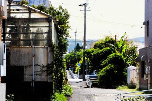 指宿市 指宿市の写真