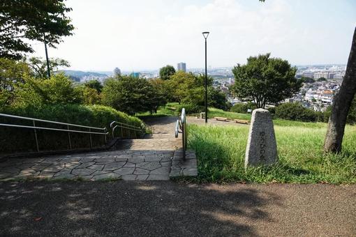 近くの公園散歩6 近くの公園散歩6の写真