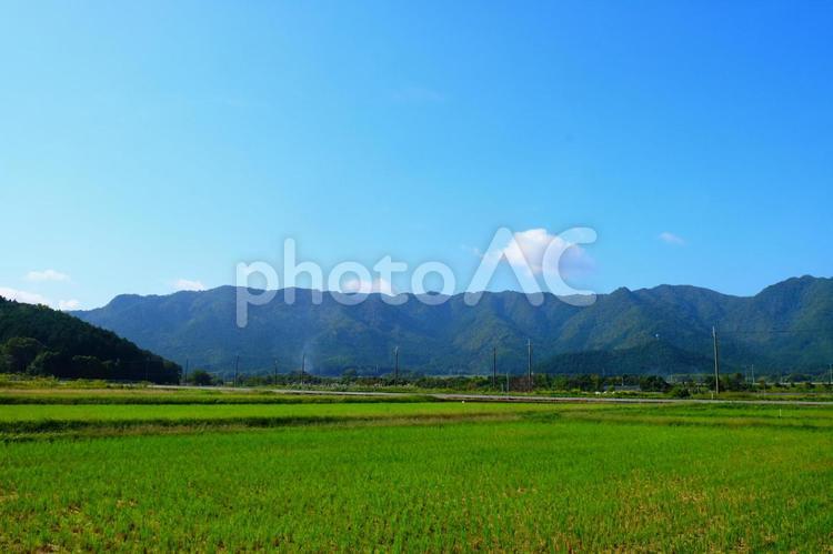田舎の風景 田舎,散歩,ドライブの写真素材