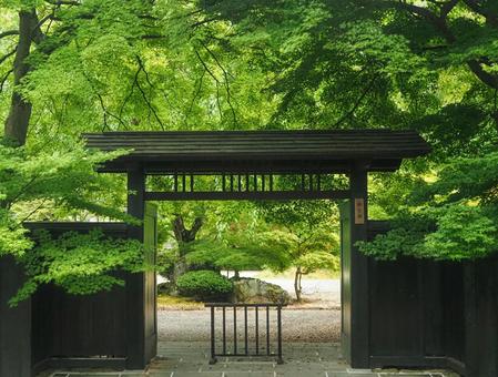 角館　武家屋敷通 角館,武家屋敷通,秋田県の写真素材