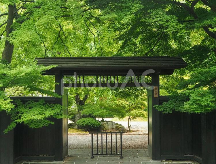 角館　武家屋敷通 角館,武家屋敷通,秋田県の写真素材