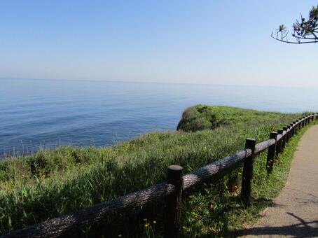初夏の海辺の散歩道の風景 初夏の海辺の散歩道の風景の写真