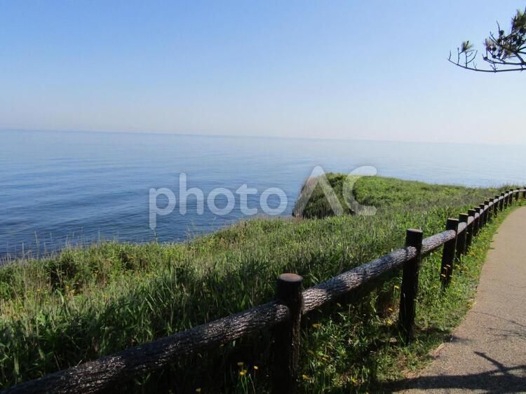 初夏の海辺の散歩道の風景 散歩道,初夏,海辺の写真素材