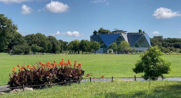 フラワーパーク江南12 風景,晴れ,雑草の写真素材