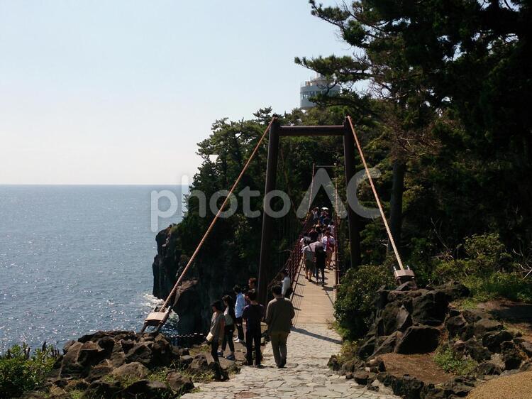 伊豆海浜公園の吊り橋 伊豆,海浜公園,神奈川県の写真素材