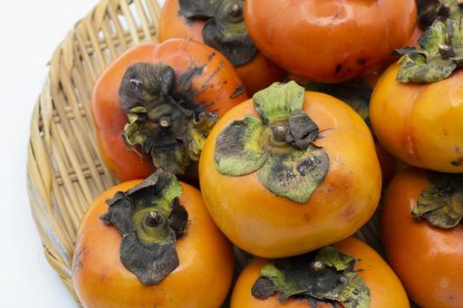 もぎたての柿 もぎたての柿の写真