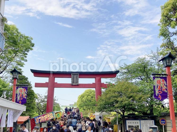 東京風景・亀戸天神 亀戸天神,亀戸天神社,亀戸天満宮の写真素材