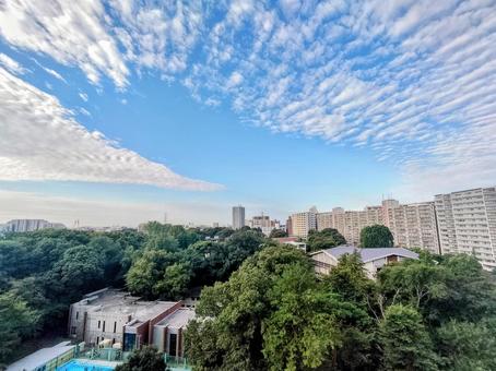 ベランダからの風景・秋の空 ベランダからの風景・秋の空 秋の空,晴れ,イワシ雲の写真素材
