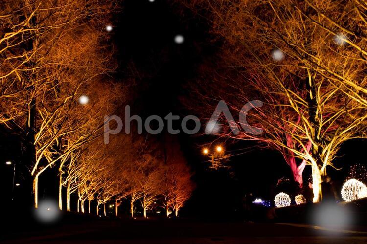 イルミネーション No 写真素材なら 写真ac 無料 フリー ダウンロードok