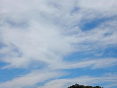 【風景写真】夏空 【風景写真】夏空の写真