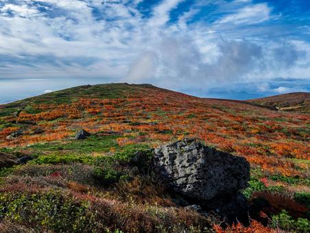 紅葉の栗駒山(須川岳) 紅葉の栗駒山(須川岳) 栗駒山,須川岳,紅葉の写真素材