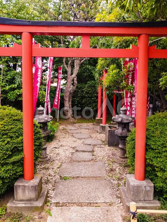 伏見稲荷の小さなお社 伏見稲荷,稲荷,船橋の写真素材