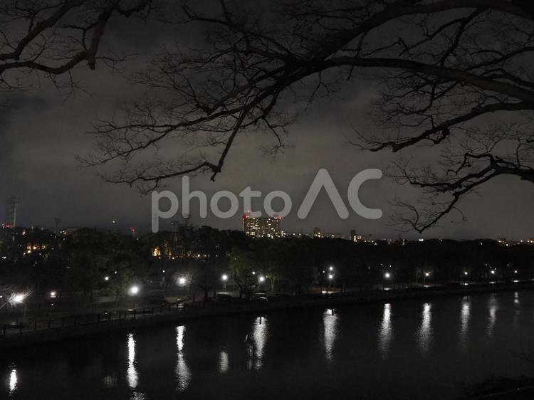 夜の風景 夜の風景,風景,川の写真素材