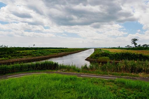貞山運河⑴ 貞山運河⑴ 運河,貞山運河,新堀の写真素材