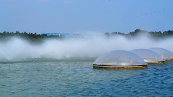 夏の葛西臨海水族園・噴水・東京都江戸川区 夏の葛西臨海水族園・噴水・東京都江戸川区 夏,葛西臨海公園,葛西臨海水族園の写真素材