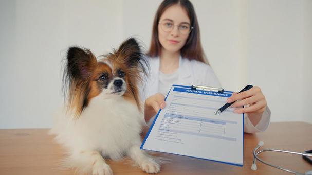 パピヨンの記入用紙を差し出す女性 医療,予防,医者の写真素材