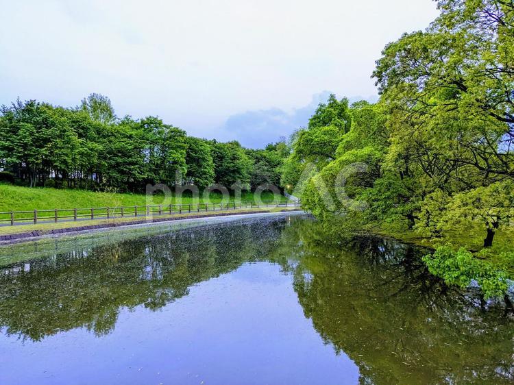 空と木を映す公園の池 池,公園,水の写真素材