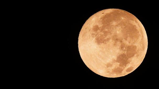 中秋の名月 中秋の名月 月,moon,満月の写真素材