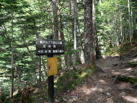 鳳凰三山のドンドコ沢登山道 鳳凰三山のドンドコ沢登山道の写真