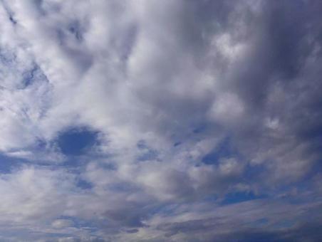 【風景写真】夏空 【風景写真】夏空の写真