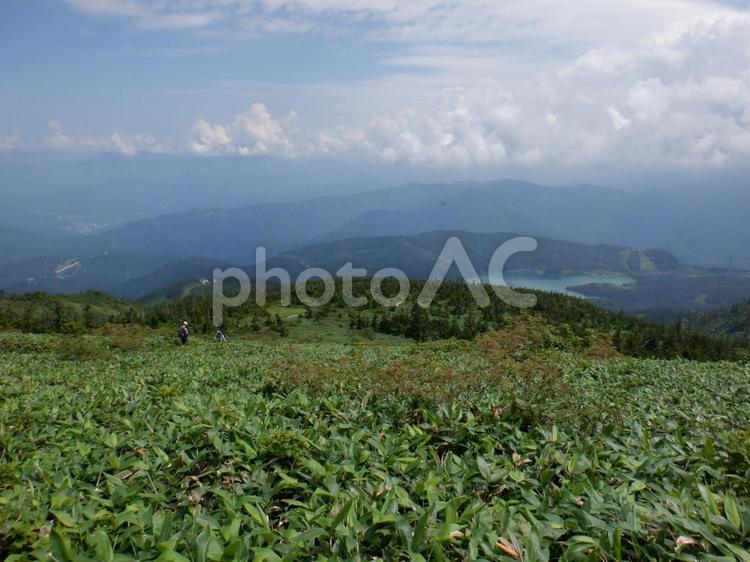 苗場山にて５ 山,登山,山登りの写真素材