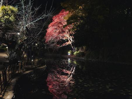 道後公園 道後公演,道後温泉,愛媛県の写真素材