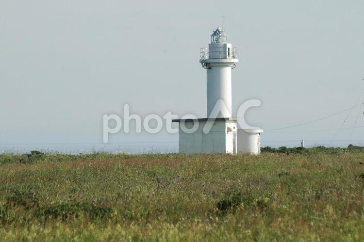 野付埼灯台 野付半島,トドワラ,風景の写真素材