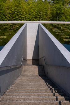 ［兵庫県淡路市］本福寺｜水御堂 淡路島,本福寺,水御堂の写真素材