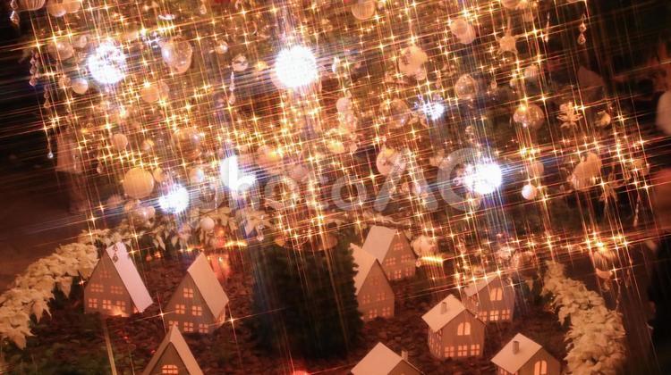 冬のイルミネーション　2024　46 クリスマス,イルミネーション,クリスマスツリーの写真素材