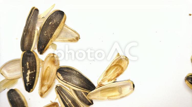 食用ひまわりの種 (11) ひまわりの種,食用,アップの写真素材