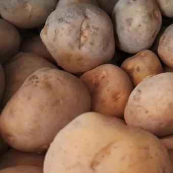 potatoes, JPG