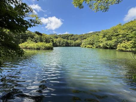 夏の鎌池 長野県小谷村 夏の鎌池 長野県小谷村 鎌池,夏,長野県の写真素材